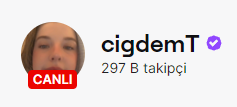 cigdemT